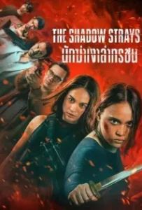 ดูหนัง นักฆ่าเงาล่าทรชน The Shadow Strays (2024)