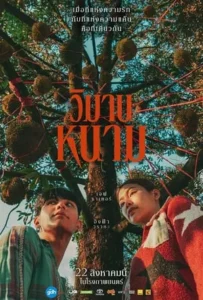 ดูหนัง วิมานหนาม The Paradise Of Thorns (2024)