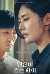 ดูหนัง เธอหลับ เขาร้าย While You Were Sleeping (2024)