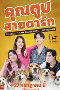 ดูหนัง คุณตูบสายดาร์ก ปิดเมืองกัด Darkdog Lockdown (2023)