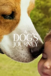 ดูหนัง หมา เป้าหมาย และเด็กชายของผม 2 A Dog’s Journey (2019)