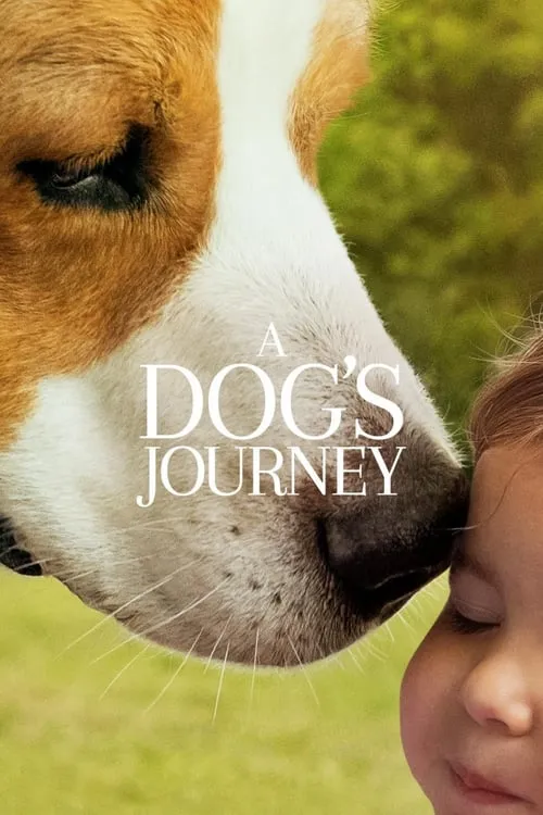 ดูหนัง หมา เป้าหมาย และเด็กชายของผม 2 A Dog’s Journey (2019)