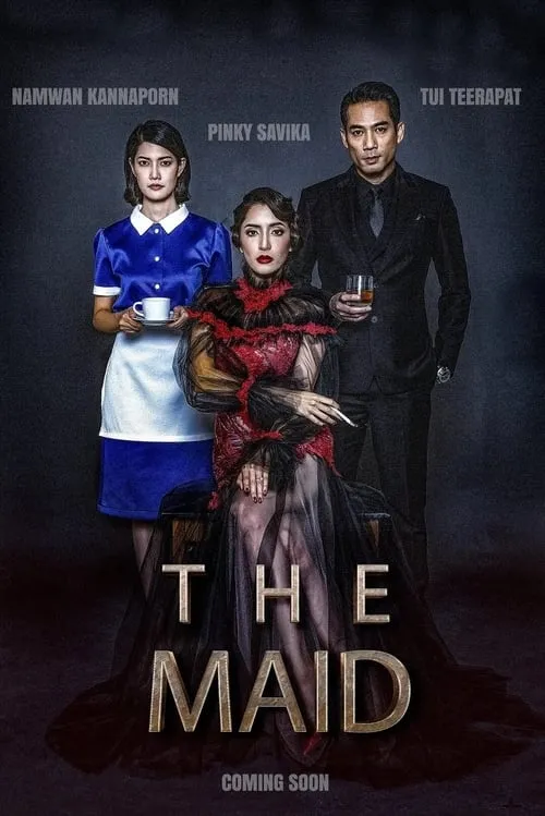 ดูหนัง สาวลับใช้ The Maid (2020)